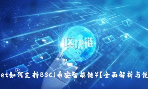 tpWallet如何支持BSC（币安智能链）？全面解析与使用指南