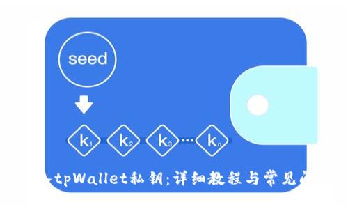 如何导入tpWallet私钥：详细教程与常见问题解析