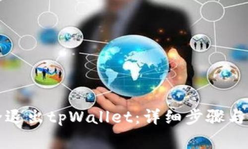 如何安全退出tpWallet：详细步骤与注意事项