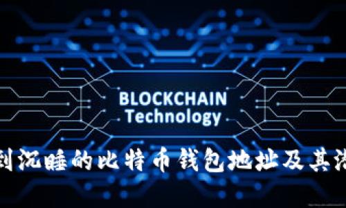 如何找到沉睡的比特币钱包地址及其潜在价值