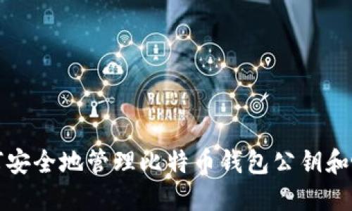 如何安全地管理比特币钱包公钥和帐号