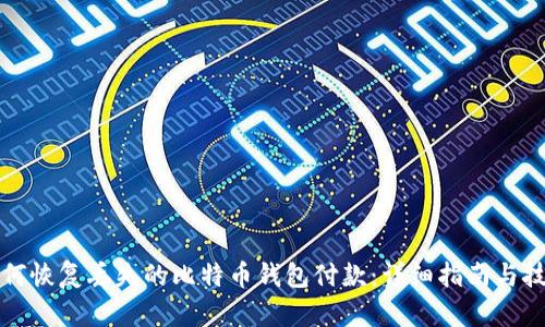 如何恢复丢失的比特币钱包付款：详细指南与技巧