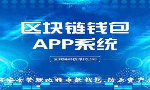 如何安全管理比特币软钱包，防止资产丢失
