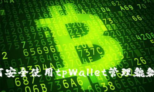 如何安全使用tpWallet管理貔貅币？