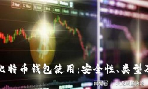 全面了解比特币钱包使用：安全性、类型及操作指南