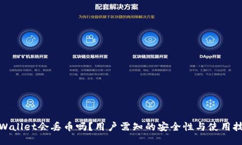 tpWallet会丢币吗？用户需知的安全性与使用技巧