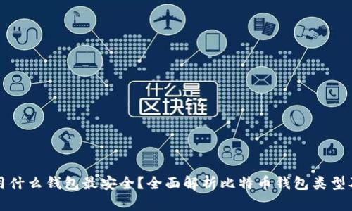 存比特币用什么钱包最安全？全面解析比特币钱包类型及选择指南