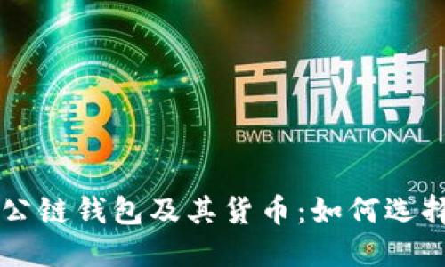 以太坊公链钱包及其货币：如何选择和使用
