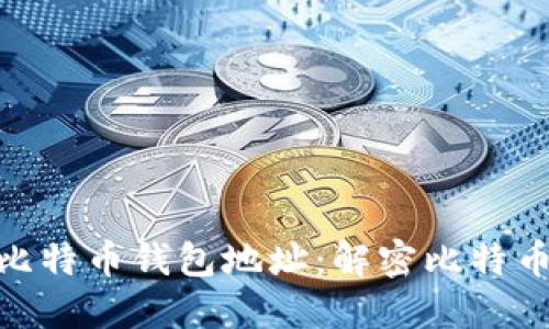 标题: 深入探讨中本聪比特币钱包地址：解密比特币的创建者及其钱包之谜