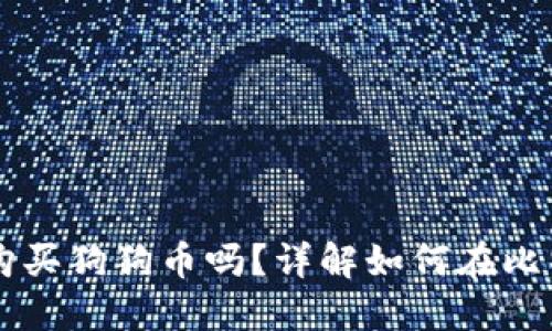 比特派钱包可以购买狗狗币吗？详解如何在比特派上交易狗狗币