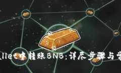 如何在tpWallet中转账BNB：详