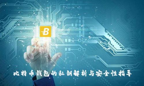 比特币钱包的私钥解析与安全性指导