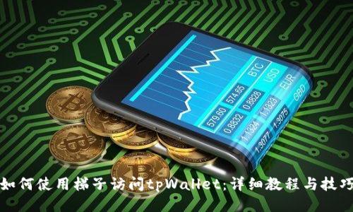 如何使用梯子访问tpWallet：详细教程与技巧