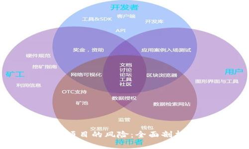 区块链钱包项目的风险：全面剖析与应对策略