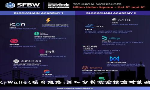 tpWallet项目跑路：深入分析及后续应对策略