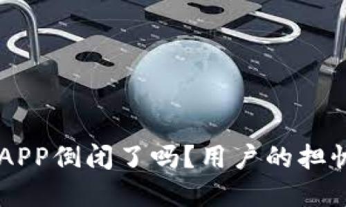 虚拟币钱包APP倒闭了吗？用户的担忧与未来展望