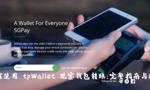 如何使用 tpWallet 观察钱包转账：完整指南与技巧