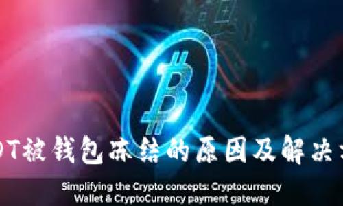 USDT被钱包冻结的原因及解决方案