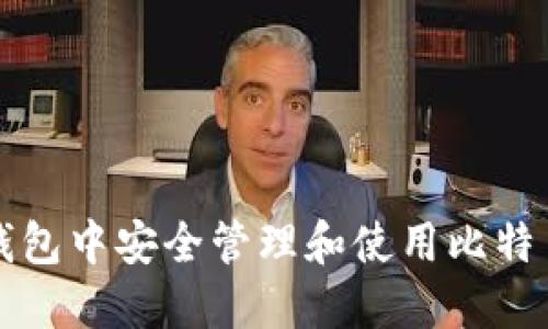 如何在iOS钱包中安全管理和使用比特币：全面指南
