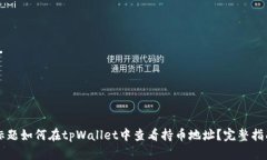 标题如何在tpWallet中查看持