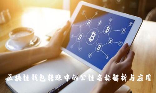 区块链钱包转账中的公链名称解析与应用