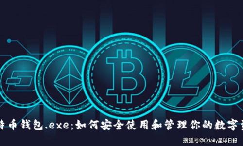 比特币钱包.exe：如何安全使用和管理你的数字资产