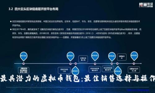 选择最具潜力的虚拟币钱包：最佳销售选择与操作指南