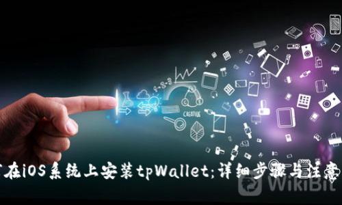 如何在iOS系统上安装tpWallet：详细步骤与注意事项