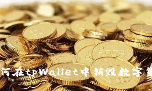 如何在tpWallet中销毁数字货币