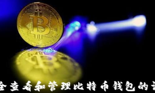 
如何安全查看和管理比特币钱包的详细指南