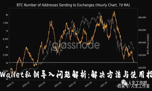 tpWallet私钥导入问题解析：解决方法与使用指南