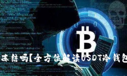 USDT冷钱包会被冻结吗？全方位解读USDT冷钱包的安全性与风险