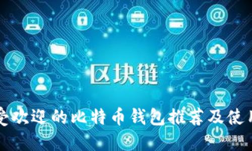 比较受欢迎的比特币钱包推荐及使用指南