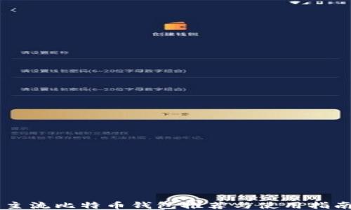 
主流比特币钱包推荐与使用指南
