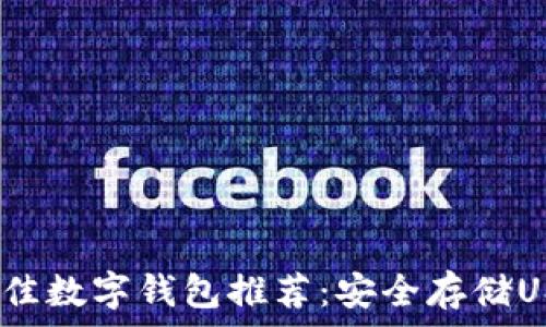   
2023年最佳数字钱包推荐：安全存储USDT的选择
