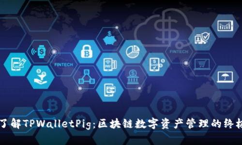 深入了解TPWalletPig：区块链数字资产管理的终极指南