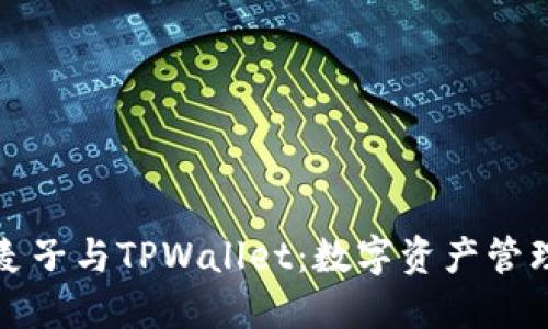 深入了解麦子与TPWallet：数字资产管理的新选择