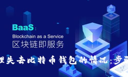 如何处理失去比特币钱包的情况：步骤与建议