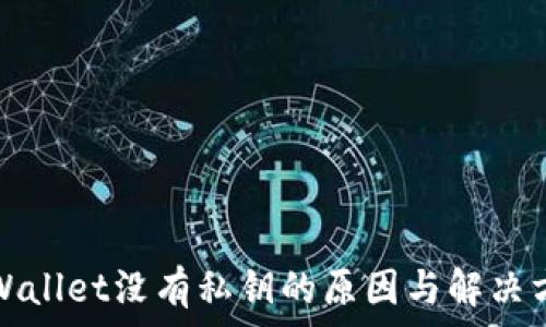 tpWallet没有私钥的原因与解决方案