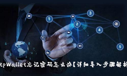 tpWallet忘记密码怎么办？详细导入步骤解析
