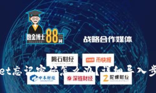 tpWallet忘记密码怎么办？详细导入步骤解析