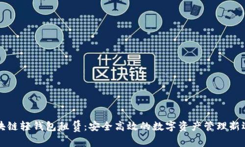 区块链轻钱包租赁：安全高效的数字资产管理新选择