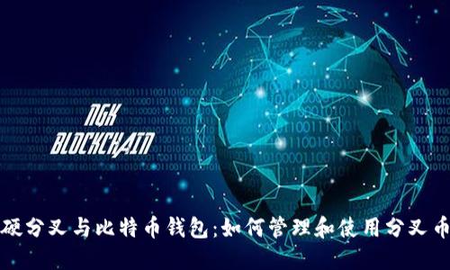 硬分叉与比特币钱包：如何管理和使用分叉币