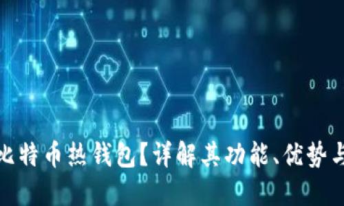 什么是比特币热钱包？详解其功能、优势与安全性