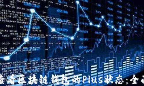 
如何查看区块链钱包的Plus状态：全面指南