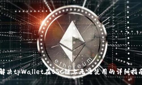 解决tpWallet在BSC链上无法使用的详细指南