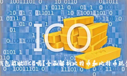 比特币钱包能放BCC吗?全面解析比特币和比特币现金的关系