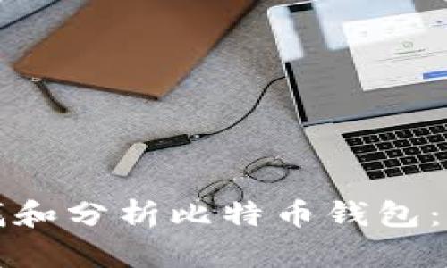 如何查找和分析比特币钱包：全面指南