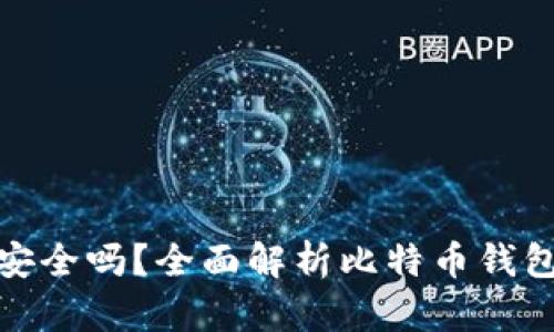 比特币国际钱包安全吗？全面解析比特币钱包的安全性与风险