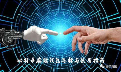 比特币存储钱包选择与使用指南